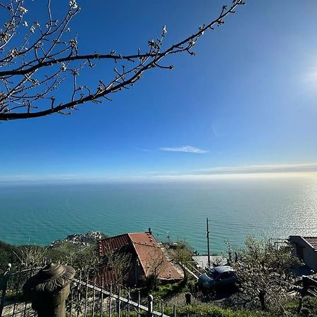 Nature&Sea Chalet コルニリア エクステリア 写真