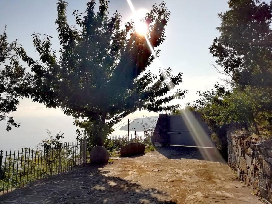Nature&Sea Chalet コルニリア エクステリア 写真