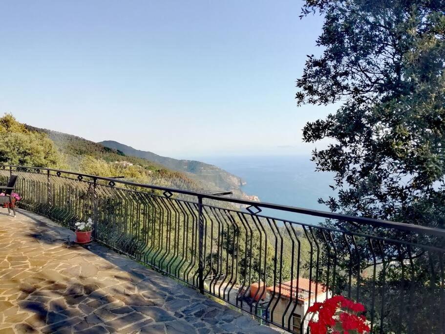 Nature&Sea Chalet コルニリア エクステリア 写真